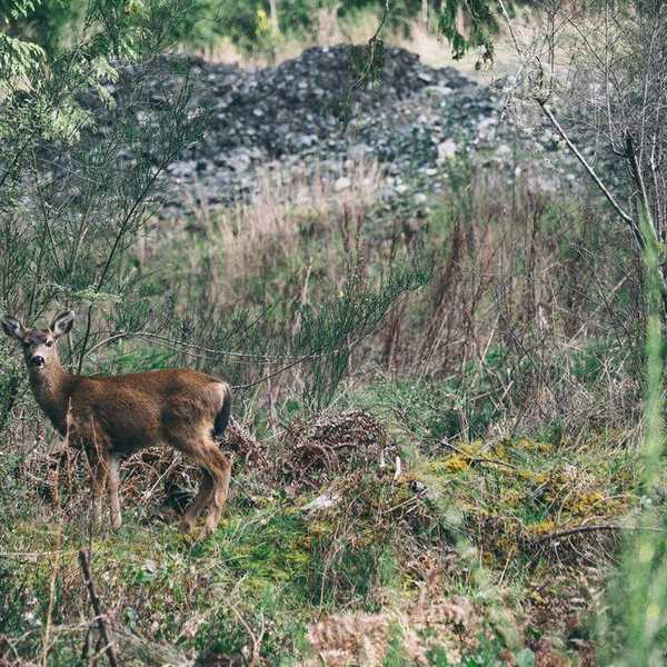 Are You Ready For Hunting Season?