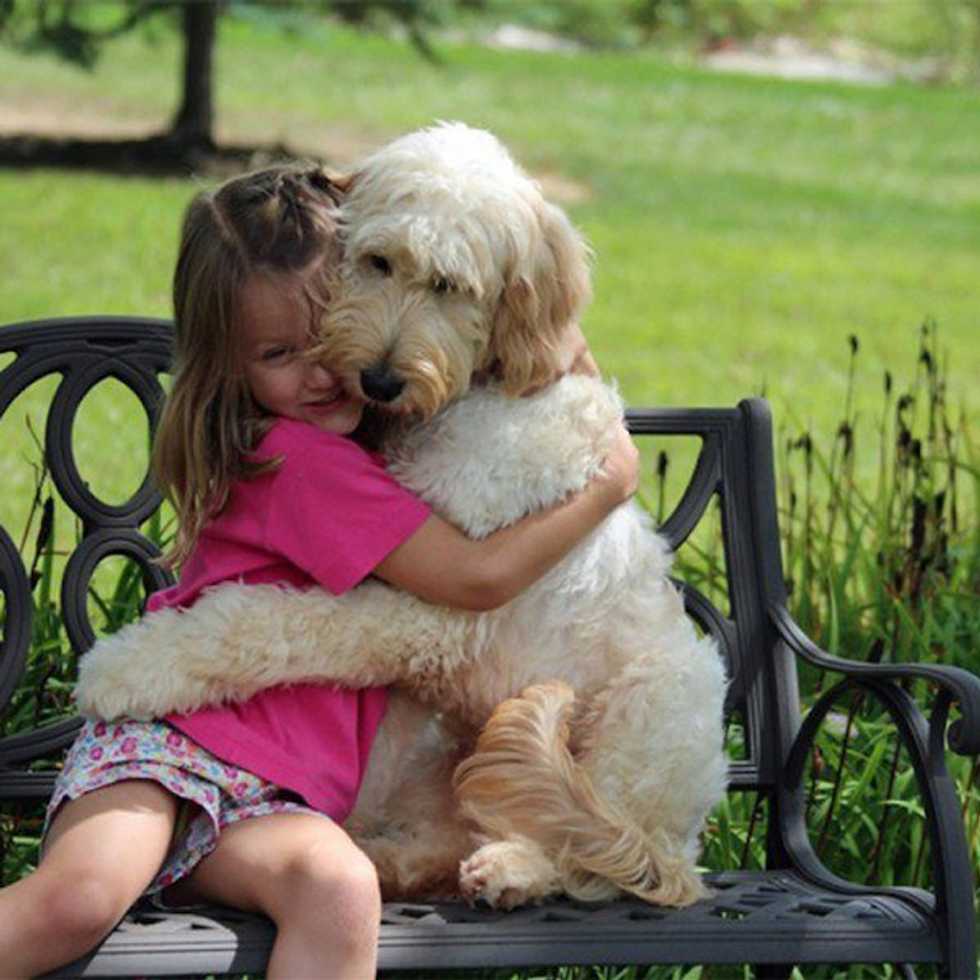 Things I Learned From My Dog