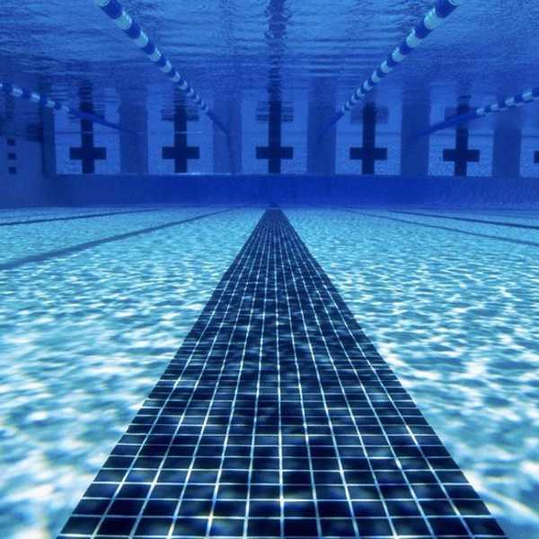 Some Physiological Aspects Of Swimming