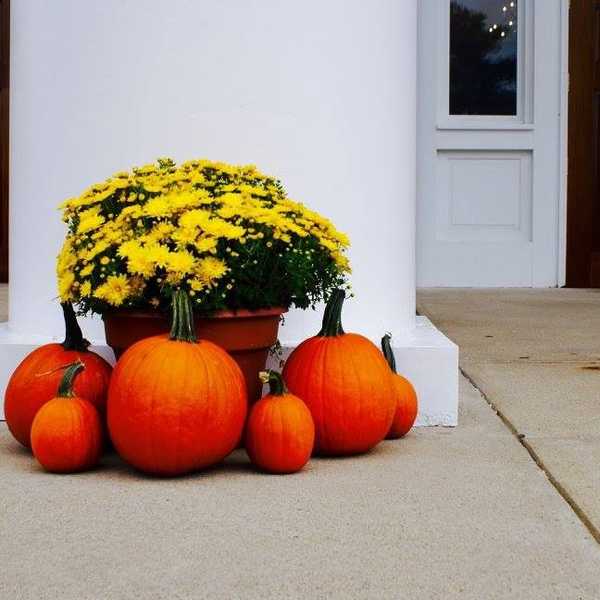 A Season Of Gratitude