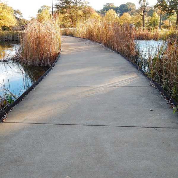 The Bullies In My Life Have Never Truly Left Me