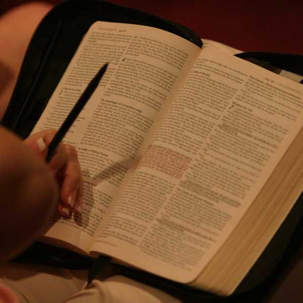 7 Bible Versus For A Busy Week