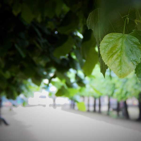 5 Reasons Why Everyone Should Grab A Camera And Take Pictures