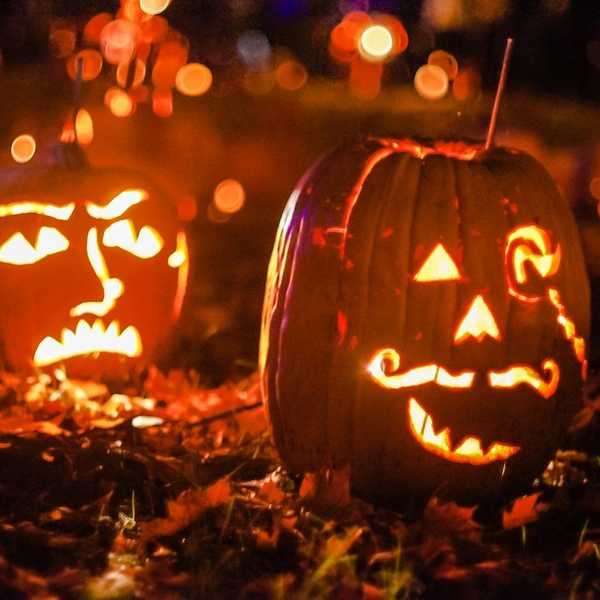 Great Jack O'Lantern Blaze: My Experience