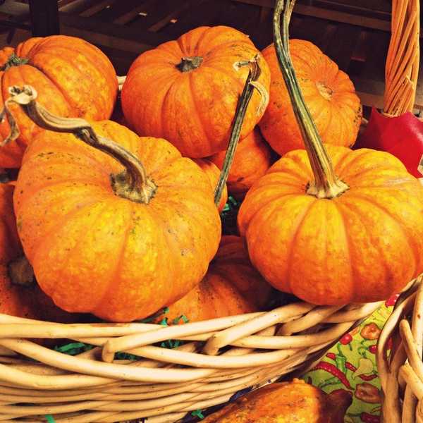 4 Pumpkin Desserts You Need To Eat This Thanksgiving