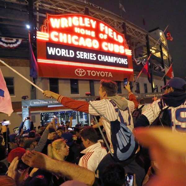 Chicago Cubs Remind Me Why I Love Sports