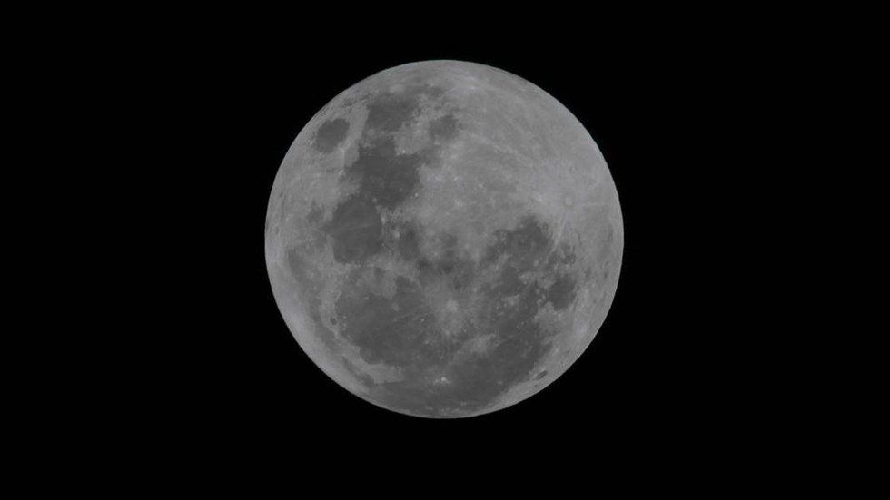 It's A Bird! It's A Plane! It's A SUPER MOON!