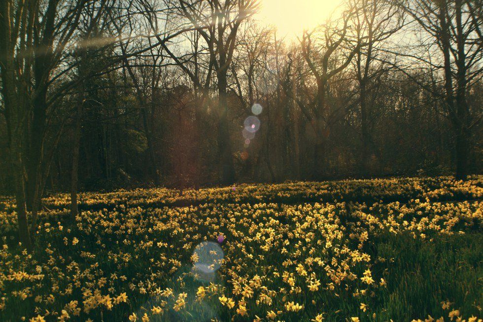 An Open Letter To Those Who Have Everything Handed To Them