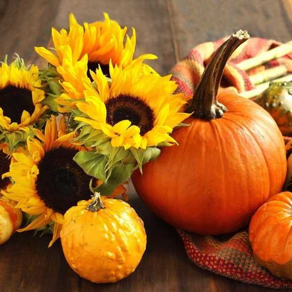 What To Be Thankful For This Thanksgiving