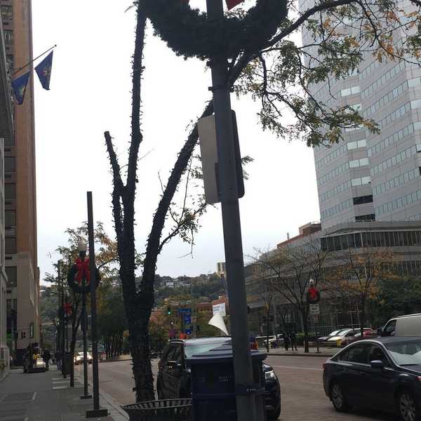 When Is It OK To Start Getting In The Christmas Spirit?