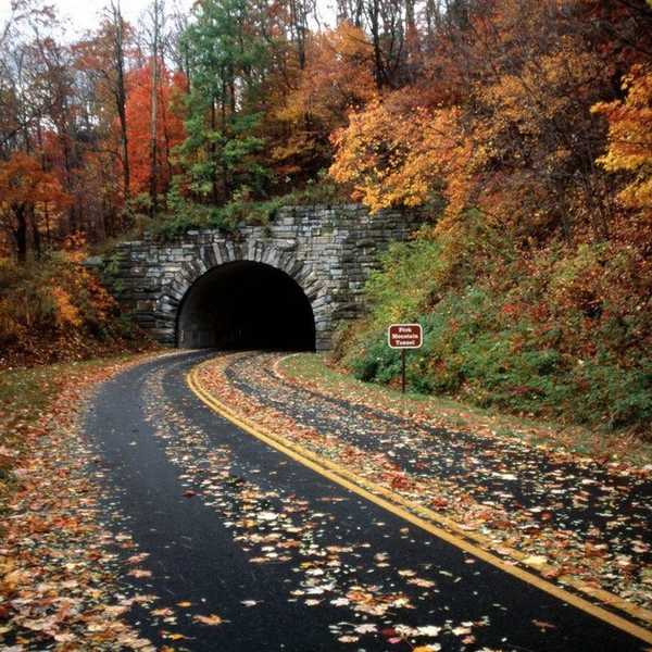 32 Things To Do When You're Feeling Hopeless or Alone