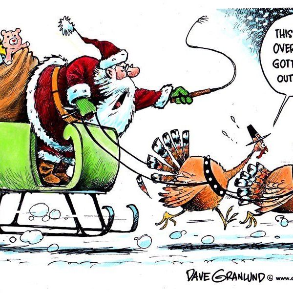 Turkey Delights Vs. Christmas Lights