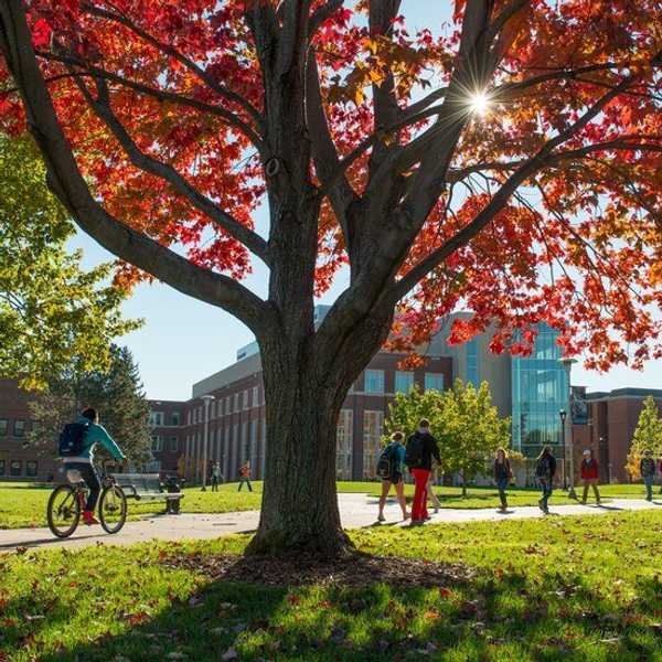 What No One Ever Tells You About Living Off Campus