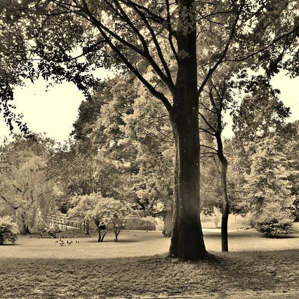 The Purpose Of Passion