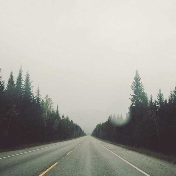 Pine Cones, Vicks Vaporub, And The Power of Nostalgia