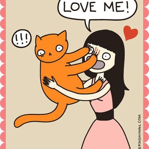Why You Have A Love Hate Relationship With Your Cat