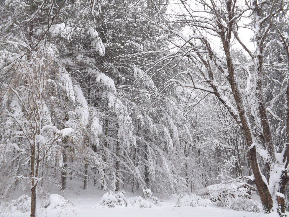 Five Items to Improve your Winter