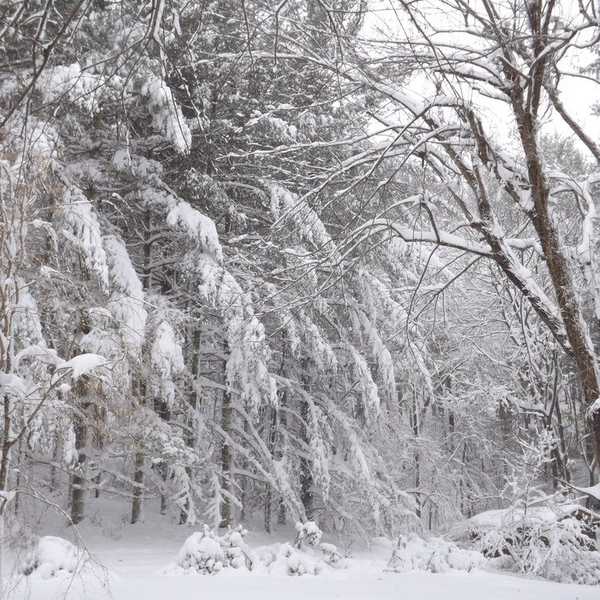 Five Items to Improve your Winter