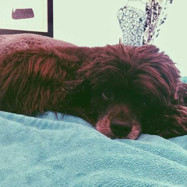 6 Reasons Why Going Home Is The Best
