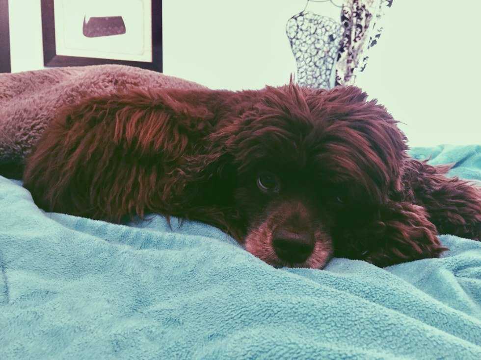 6 Reasons Why Going Home Is The Best