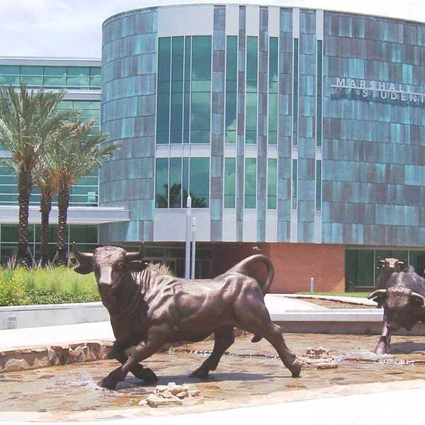 I Picked The Wrong College And That's Okay