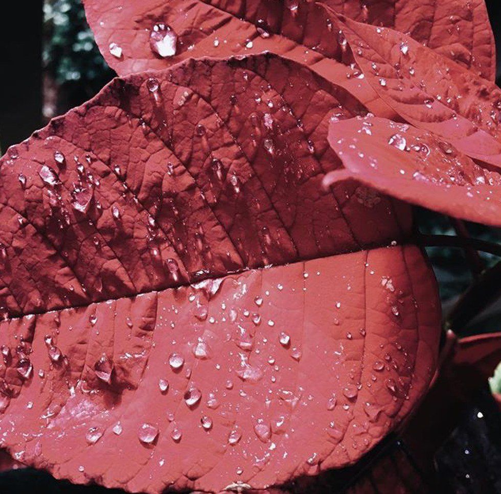 10 Things Every College Student Is Feeling Right Now