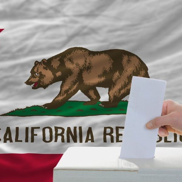 9 Thoughts While Looking At The California Voting Ballot