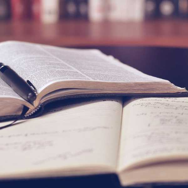 How I Learned To Love My Major