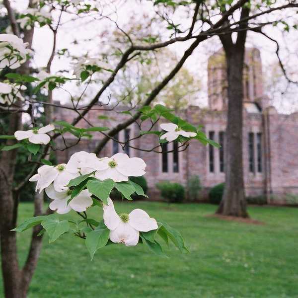 The Struggle Of Christianity