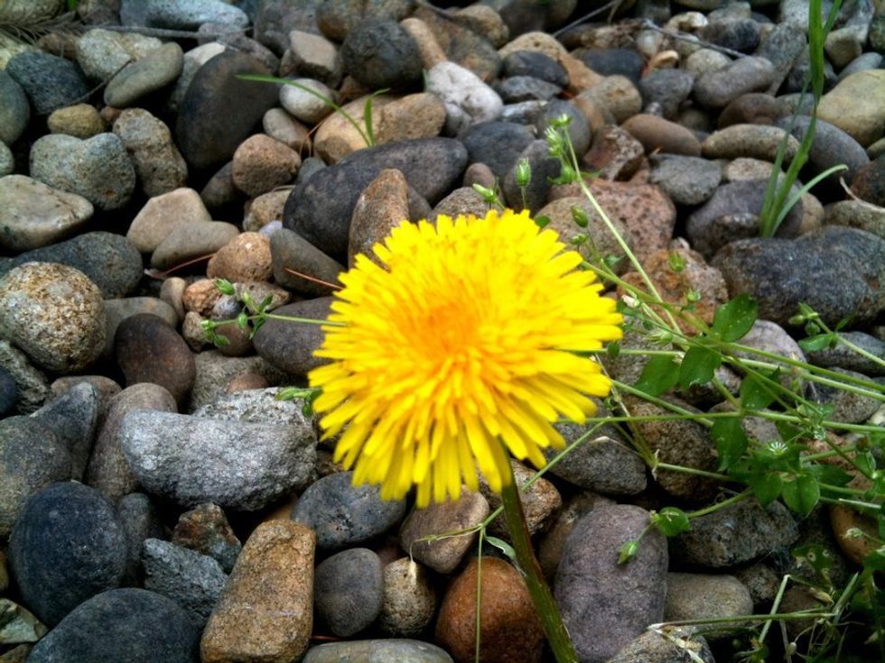 I Wish I Had More Time With You, Friend