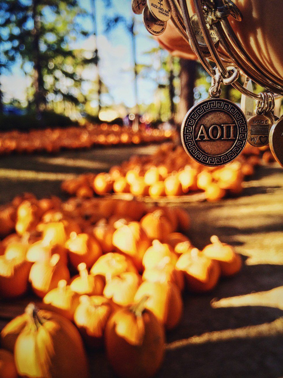 What Big Little Season Is Like As A Big.