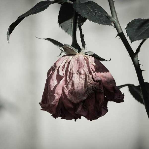 How To Handle Depression