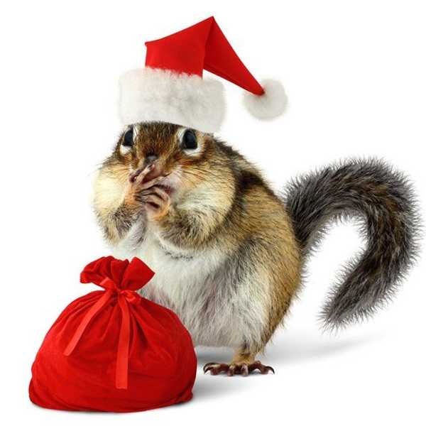 7 Things I Love About The Holiday Season