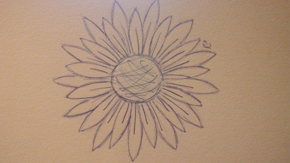 4 Reasons Why You Should Like Sunflowers