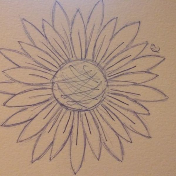 4 Reasons Why You Should Like Sunflowers