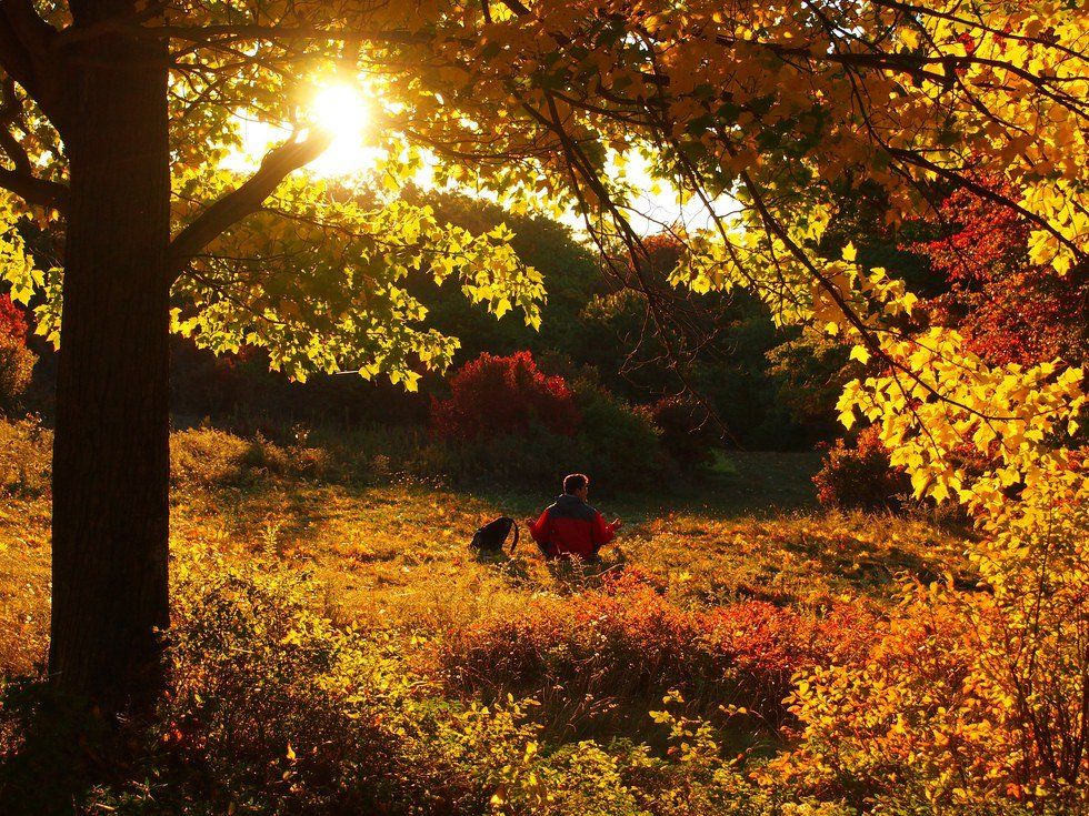 6 Gorgeous Hikes Near the Hudson Valley