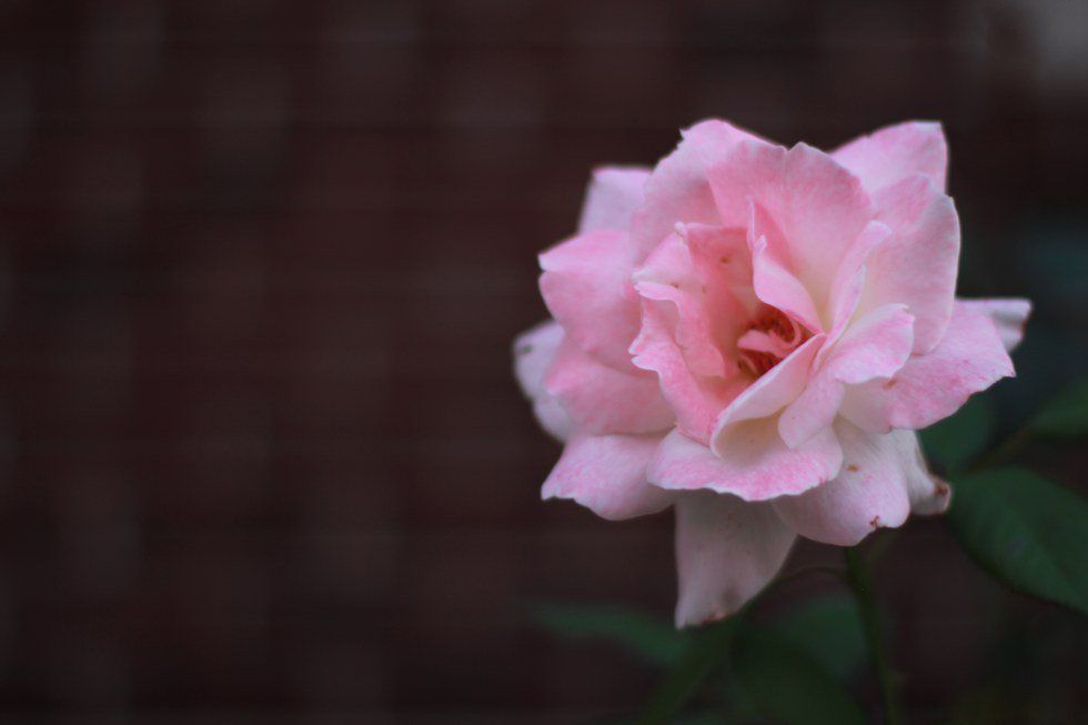 The Struggles Of Being Named Nusaiba