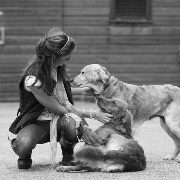 Why Dogs Make The Best Companions