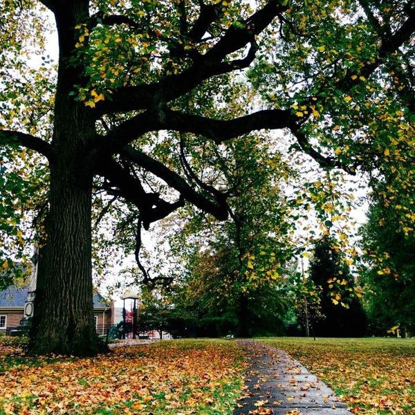 For You Who Will Love Me Next