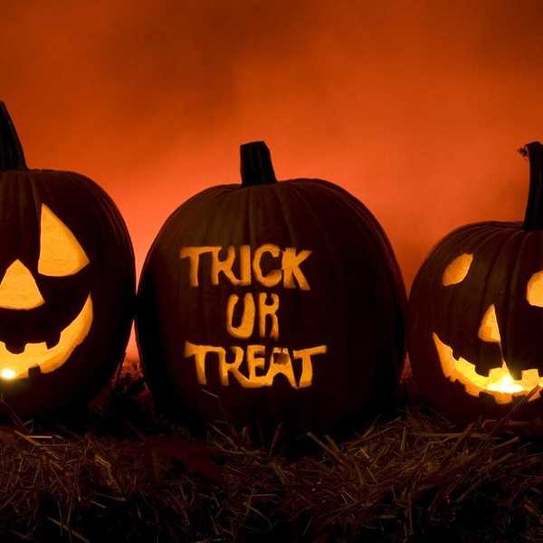 The Ultimate Halloween Costume Survival Guide