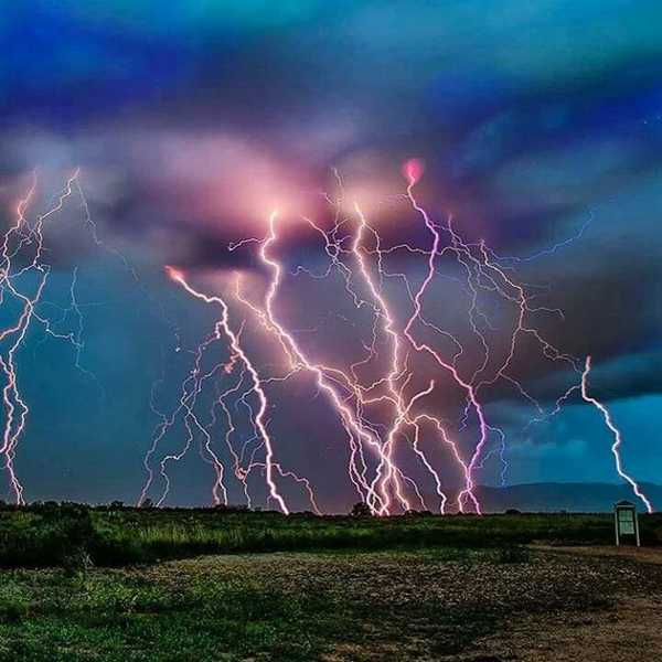 Harsh Nature's Inquiries To Be Protected