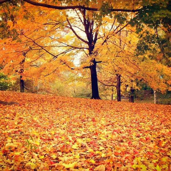 Reasons You Should Welcome The Fall Season