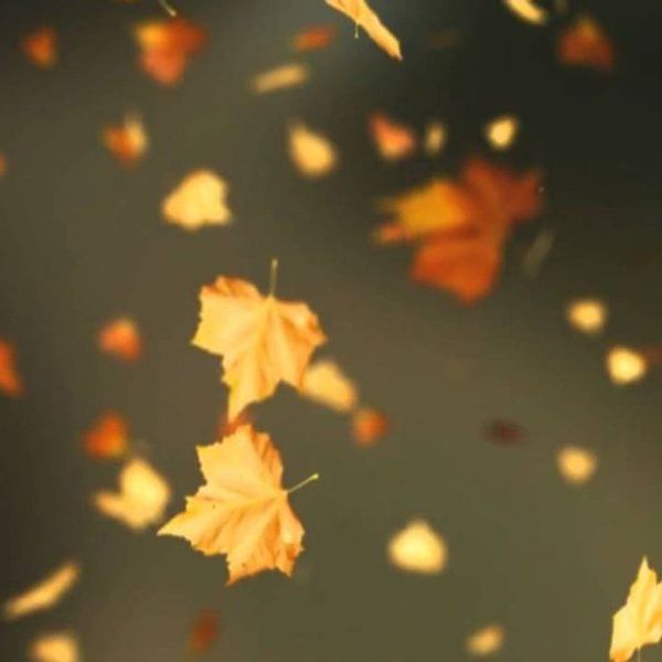 Now That Halloween is Over...