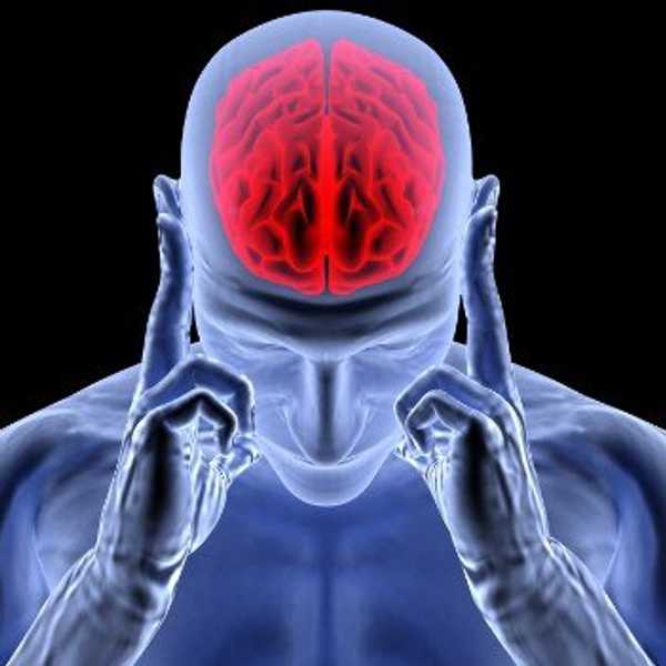 Intelligence Is Agony