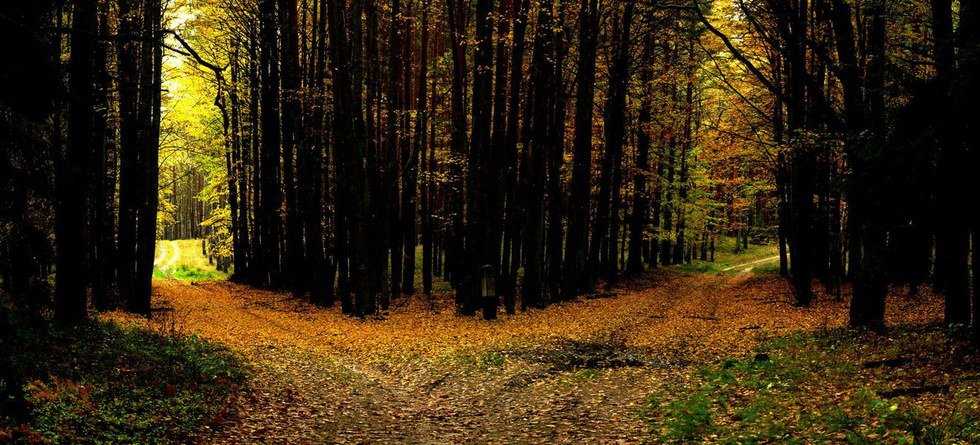 I Am Happy Without You