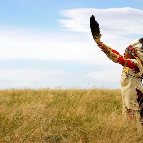 In Support Of The Water Protectors Of Standing Rock