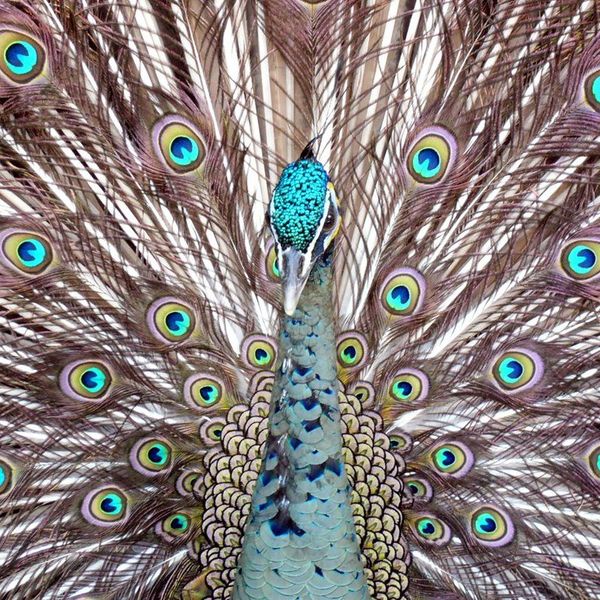 You Are Enough: Quotes For Body Positivity