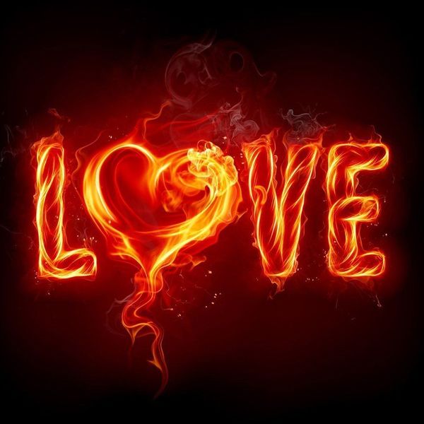 Searching for My Life Partner