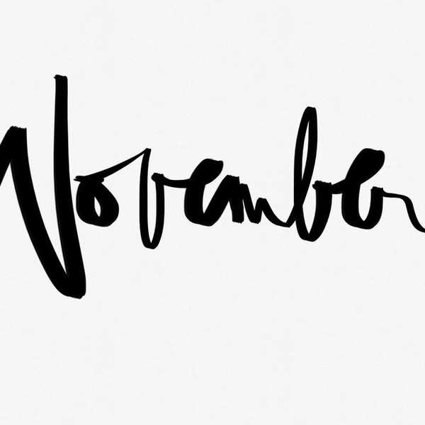 What to Look Forward to in November