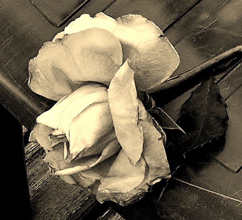 You Didn't Come Close To Breaking My Heart